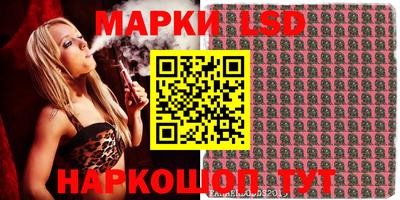 дмт Камышлов