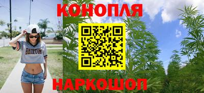 дмт Камышлов