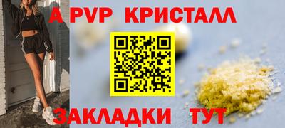 дмт Камышлов